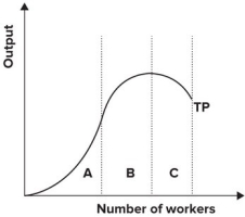Refer to the graph shown. Within which section(s)  of the production function is marginal product decreasing?   A)  A B)  B C)  A and B D)  B and C