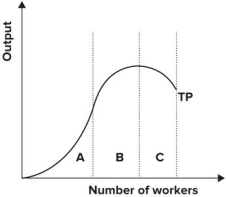 Refer to the graph shown. Within which part of the production function is the firm most likely to operate?   A)  A B)  B C)  C D)  B and C