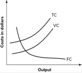 Refer to the following graph.   This set of cost curves is: A)  correct. B)  wrong because the total cost and variable cost curves are reversed. C)  wrong because the fixed cost curve is drawn incorrectly. D)  wrong because the total cost and variable cost curves are actually the average total cost and average variable cost curves.