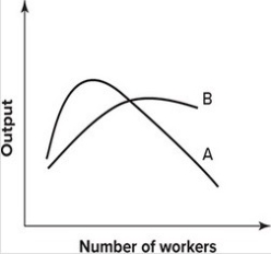 Refer to the following graph.   The marginal product and average product curves: A)  are A and B, respectively. B)  are B and A, respectively. C)  could be either A or B. D)  are not drawn properly.