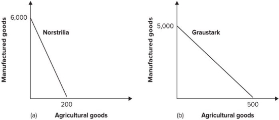 Refer to the graph shown.   We can conclude from the diagram that: A)  Graustark has a comparative advantage in both goods. B)  Norstrilia has a comparative advantage in both goods. C)  Norstrilia has a comparative advantage in manufacturing and Graustark has a comparative advantage in agriculture. D)  Norstrilia has a comparative advantage in agriculture and Graustark has a comparative advantage in manufacturing.
