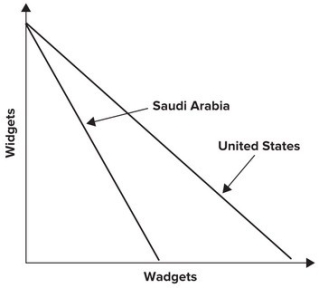 Refer to the graph shown.   The graph demonstrates Saudi Arabia's and the United States' production possibility curves for widgets and wadgets. Given these production possibility curves, you would suggest that: A)  Saudi Arabia specialize in widgets and the United States in wadgets. B)  No trade should take place. C)  Saudi Arabia specialize in wadgets and the United States in widgets. D)  Both countries should produce an equal amount of each.