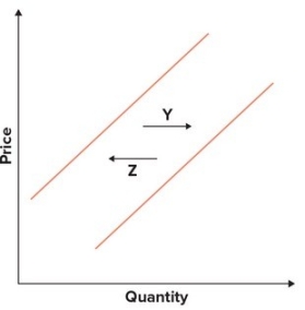 Refer to the graphs shown. The arrow that best shows an increase in supply is:     A)  W. B)  X. C)  Y. D)  Z.