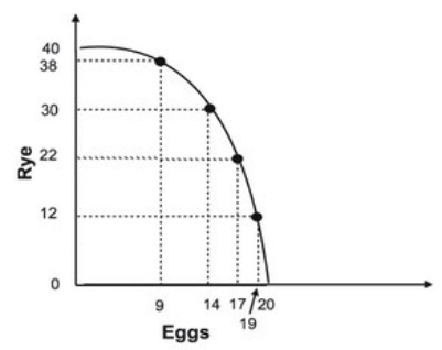 The graph below indicates that the economy can produce both:   A)  20 units of eggs and 5 units of rye, although this would not be efficient. B)  10 units of eggs and 20 units of rye, although this would not be efficient. C)  20 units of eggs and 5 units of rye, and this would be efficient. D)  10 units of eggs and 20 units of rye, and this would be efficient.