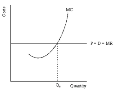 Using the following diagram, demonstrate graphically and explain verbally why any movement away from output level Q<sub>0</sub> would decrease the firm's profit.  