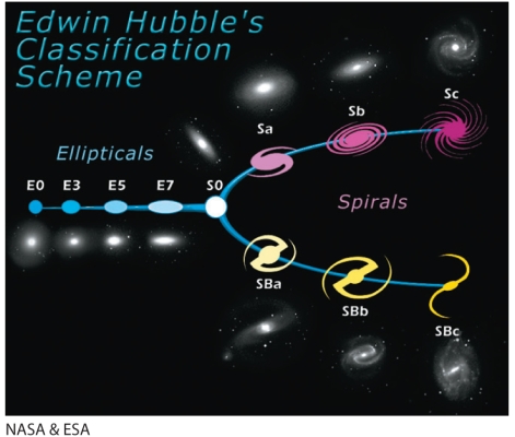 How do galaxies evolve on the Hubble tuning-fork classification scheme and what is the evolutionary significance of this diagram, shown in Figure 17-15 of the text?   A)  About three-quarters of galaxies do not evolve, but others can change their position. Usually, spiral galaxies merge to form ellipticals. B)  The  young  irregular and lenticular galaxies in the center of the tuning fork evolve to either elliptical galaxies if the material is metal-poor or spiral galaxies if the material is metal-rich. C)  Stars slowly die and the spiral arms slowly spin up and tighten to transform spiral galaxies into elliptical galaxies. D)  Elliptical galaxies slowly condense and spin up to form spiral galaxies, the increasing stellar collisions forming the interstellar material in the spiral arms.