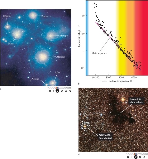In photographs, the Pleiades open star cluster is surrounded by a bluish haze (see Figure 13-4 in the text) . What causes this blue light?   A)  starlight scattered from interstellar dust in the star cluster B)  starlight scattered by the light-sensitive grains in the photographic plate when the picture was taken C)  shock waves losing energy to interstellar gas in the star cluster, causing the atoms to emit light D)  starlight absorbed and reemitted by interstellar gas in the star cluster