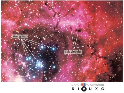 Long-exposure color photographs of the night sky often show regions that glow red, such as the Rosette Nebula in Figure 13-8 in the text. This distinctive red color is caused by the   A)  emission of red and infrared light by warm dust grains. B)  collective glow of many red giant stars in the region. C)  scattering of starlight by dust grains in the nebula. D)  ionization and subsequent recombination of hydrogen atoms.