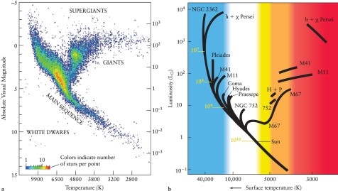 In the H-R diagram shown in Figure 13-31b in the text, the brightest stars in the Pleiades cluster are not on the main sequence but away from it toward the upper right. Explain.   A)  The brightest stars have not yet reached the main sequence and are in the T Tauri phase. B)  The brightest stars have already evolved through the red giant phase and have now returned to the blue giant phase on their way to the white dwarf phase. C)  The brightest stars have already become white dwarf stars, as shown by their position. D)  These blue supergiant stars have already begun to evolve toward the red supergiant phase.