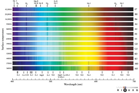 Which of these molecules produces the strong absorption bands in the spectrum of a cool M-type star, as can be seen in Figure 12-5 in the text?   A)  HCl, hydrogen chloride B)  CaI, calcium iodide C)  H<sub>2</sub>O, water vapor D)  TiO, titanium oxide