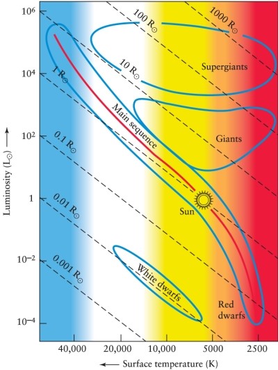A red supergiant star is found to have a surface temperature of 2500 K and a luminosity 100,000 times that of the Sun. Use the Hertzsprung-Russell diagram in Figure 12-8 in the text to determine its approximate radius compared with that of the Sun.   A)  about 10 times larger B)  about 100 times larger C)  about 1000 times larger D)  almost the same