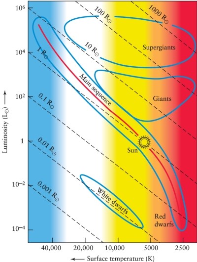 See Figure 12-8 in the text. A white dwarf star whose temperature is the same as that of the Sun will have a radius that is   A)  10 times smaller than that of the Sun. B)  the same size as the Sun's. C)  2 times smaller than that of the Sun. D)  100 times smaller than that of the Sun.