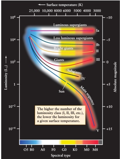A particular star has an absolute magnitude of +12 and a spectral class of A5. Using Figures 12-7 and 12-10 from the text, how would this star be classified?     A)  A5 I B)  A-type white dwarf C)  A5 V D)  A5 III