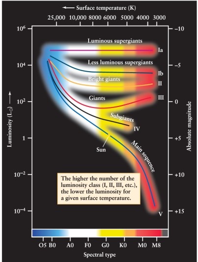A star with a surface temperature of 4000 K and a luminosity of about 10<sup>-2</sup> times that of the Sun is a member of which luminosity class? See Figure 12-10 from the text.   A)  III, giant B)  I, supergiant C)  II, bright giant D)  V, main sequence
