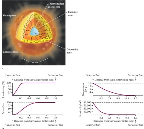 Figure 11-23 in the text shows that all of the Sun's luminosity is generated within the inner 25% of the solar radius. What is true of the correlation of the other graphs in the figure with the luminosity graph?   A)  Almost all of the Sun's mass is located within the inner 25% of the solar radius also. B)  The core has a temperature of 15.5 *10<sup>6</sup> K, the temperature needed for hydrogen fusion, throughout this inner 25% of the solar radius. C)  The temperature actually peaks in the convection zone, driving the convection process. D)  The density is greatest within the inner 25% of the solar radius, causing the high pressure and temperature required for hydrogen fusion.