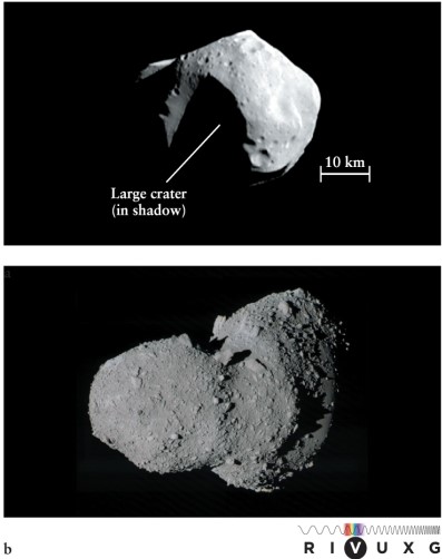 Refer to Figures 10-17, 10-23a, and 10-24 in the text. The surfaces of Ida, Mathilde, and Eros, asteroids photographed by the Galileo and NEAR Shoemaker spacecraft are       A)  densely covered with ancient large and small overlapping craters, similar to the surface of the highland areas of the Moon. B)  irregular, somewhat rounded, and moderately cratered. C)  covered with ice that is crisscrossed with cracks and systems of parallel grooves. D)  covered with young, sharp, jagged protrusions, due to fragmentation by collision with other asteroids, and few craters.
