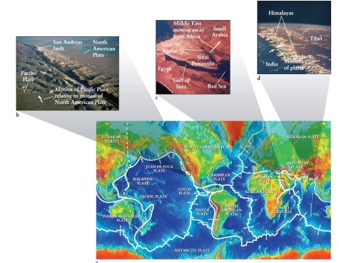 Which two tectonic plates are slowly separating from each other on Earth's surface along the Mid-Atlantic Ridge in the South Atlantic? See Figure 7-8 in the text.   A)  African and Eurasian plates B)  Nazca and Pacific plates C)  South American and African plates D)  Pacific and Australia-India plates