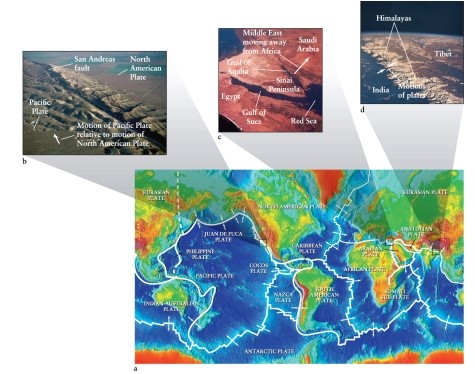 Against which tectonic plate is the Australia-India tectonic plate pushing to form the Himalayan mountains? See Figure 7-8 in the text.   A)  Eurasian Plate B)  North American Plate C)  African Plate D)  Antarctic Plate