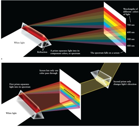 When visible light passes through a prism of glass, as shown in Figure 3-1, which wavelengths of light are deflected MOST by the glass?   A)  longer wavelengths B)  intermediate wavelengths, the green color C)  All wavelengths are deviated by the same amount. D)  shorter wavelengths