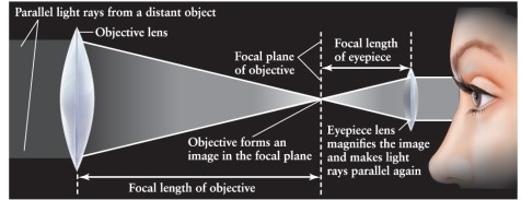 How far apart should the objective lens and the eyepiece lens be in a refracting telescope? See Figure 3-18.   A)  distance equal to the focal length of the objective lens B)  distance equal to the focal length of the eyepiece lens C)  distance equal to the focal length of the objective lens minus the focal length of the eyepiece lens D)  distance equal to the sum of the focal lengths of the two lenses