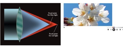 When visible light passes through a glass prism or a glass lens, which wavelengths of light are deflected MOST by the glass? See Figure 3-21.   A)  the longer wavelengths B)  The light is not deflected by glass because glass is transparent. C)  All wavelengths have their directions changed by the same amount. D)  the shorter wavelengths