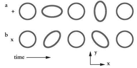 An object oscillates in one of the patterns shown by Figure 3-43. It might be a particularly interesting astronomical source because these patterns are well-suited to produce   A)  supernovae. B)  Balmer line emission. C)  ultrahigh-energy cosmic rays. D)  gravitational waves.