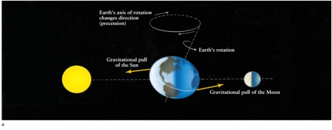 If the polar axis of Earth moves through a full circle in 26,000 years as a result of precession (see Figure 1-22a) , how long will it take for the line between the center of the circle and the spin axis to move through 180° (i.e., to the other side of the circle) ?   A)  26,000 years B)  1 year C)  about 100 years D)  13,000 years