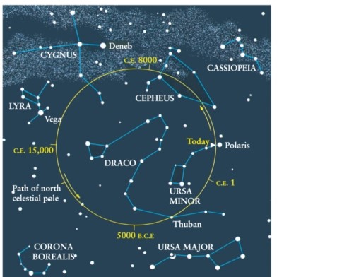 To which constellation will the north celestial pole be closest in the year 14,000 A.D. (see Figure 1-22c) ?   A)  Lyra B)  Draco C)  Ursa Minor, because the north celestial pole never moves, by definition D)  Cepheus