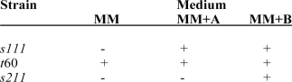 The accompanying table is a set of experimental results relating the growth (+) of Neurospora on several media (MM = minimal medium). Based on the information provided, present the biochemical pathway and the locations of the metabolic blocks.  <div style=padding-top: 35px> 