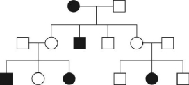 The accompanying figure is a pedigree of a fairly common human hereditary trait; the boxes represent males and the circles represent females. Filled in symbols indicate the abnormal phenotype. Given that one gene pair is involved,   a) Is the inheritance pattern X-linked or autosomal? b) Give the genotype of each individual in the pedigree. If more than one genotypic possibility exists, present all possible alternatives.