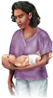 The nurse is instructing a new mother on basic infant care. For which activities should the nurse suggest that the mother use the following infant hold?   A)  Burping B)  Bottle feeding C)  Shampooing hair D)  Changing a diaper
