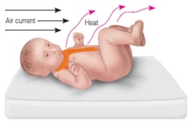 <strong>The nurse is explaining the processes of infant heat loss to a new mother. Which diagram should the nurse use to describe the process of convection?</strong> A) B) C) D)