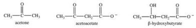 <strong>The ketone bodies β-hydroxybutyrate, acetone, and acetoacetate are shown below.Which ketone bodies are responsible for the condition known as ketoacidosis? </strong> A)acetone B)acetoacetate C)β-hydroxybutyrate D)acetoacetate and β-hydroxybutyrate E)All three ketone bodies are responsible for ketoacidosis.
