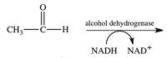 The last step in alcohol fermentation involves the reduction of acetaldehyde and the oxidation of NADH.What is the structure of the reduction product?   A)    B)    C)    D) CH<sub>3</sub>CH<sub>2</sub>OH E) CH<sub>3</sub>CH<sub>3</sub>
