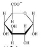 The monosaccharide derivative shown below bonds to hydrophobic molecules in the liver.What effect does this have on the molecule to which it binds?   A) It increases the hydrophobicity of the molecule, making it more soluble in fatty tissues. B) It increases the polarity of the molecule, making it more soluble in bodily fluids, and more readily removed. C) It eliminates the ability of the molecule to act as a nutritional source of energy. D) It decreases the polarity of the hydrophobic molecule, allowing it to be retained in the body longer. E) It increases the nutritional value of the molecule by allowing it to be retained by the body longer.