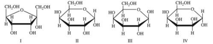 Monosaccharides exist predominantly as cyclic hemiacetals.Cyclic hemiacetals have both an α and a β form.Which of the following monosaccharides are shown in the β form?   A) III only B) IV only C) I and III D) II and IV E) All are shown in the �β form.