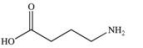 4-Amino butanoic acid (common name GABA)  is a neurotransmitter found in the brain's nerve cells.Which of the following properly represents the structure of this compound? A)    B)    C)    D)    E)   