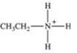 Which of the following correctly represents how ethylamine would exist when dissolved in an acidic solution? A) CH<sub>3</sub>CH<sub>2</sub>NH<sub>2</sub> B) CH<sub>3</sub>CH<sub>2</sub>NH<sup>−</sup> C)    D)    E)   