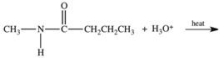 Acid-catalyzed hydrolysis of amides is an important reaction because it represents the first step in the digestion of dietary protein.Which of the following compounds is formed as a result of the acid-catalyzed hydrolysis of N-methylbutanamide?   A) CH<sub>3</sub>CHCH<sub>2</sub>CH<sub>2</sub>CH<sub>2</sub>CH<sub>3</sub> B) NH<sub>2</sub>CH<sub>2</sub>CH<sub>2</sub>CH<sub>2</sub>CH<sub>3</sub> C) CH<sub>3</sub>NH<sup>+</sup><sub>3</sub> D) CH<sub>3</sub>NH<sub>2</sub> E)   