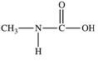 <strong>Acid-catalyzed hydrolysis of amides is an important reaction because it represents the first step in the digestion of dietary protein.Which of the following compounds is formed as a result of the acid-catalyzed hydrolysis of N-methylbutanamide?  </strong> A)CH<sub>3</sub>CHCH<sub>2</sub>CH<sub>2</sub>CH<sub>2</sub>CH<sub>3</sub> B)NH<sub>2</sub>CH<sub>2</sub>CH<sub>2</sub>CH<sub>2</sub>CH<sub>3</sub> C)CH<sub>3</sub>NH<sup>+</sup><sub>3</sub> D)CH<sub>3</sub>NH<sub>2</sub> E)   <div style=padding-top: 35px> 