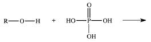 The reaction shown below between an alcohol and phosphoric acid produces a phosphoester.What is the general structure of a phosphoester?   A)    B)    C)    D)    E)   