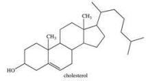 Which statement best describes the solubility of the alcohol whose structure is shown below?   A) It would be readily soluble in water because it contains a polar hydroxyl group. B) It would be very soluble in water because it can hydrogen bond with water. C) It would have limited solubility in water because the molecule is largely hydrophobic. D) It would be soluble in NaCl(aq)  because it can dissociate into ions. E) It is impossible to predict solubility from the structure alone.