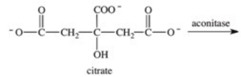 Which of the following compounds is aconitate,the intermediate produced when the enzyme aconitase catalyzes the dehydration of citrate?   A)    B)    C)    D)    E)   