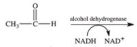 The last step in alcohol fermentation involves the reduction of acetaldehyde and the oxidation of NADH.What is the structure of the reduction product?   A)    B)    C)    D) CH<sub>3</sub>CH<sub>2</sub>OH E) CH<sub>3</sub>CH<sub>3</sub>