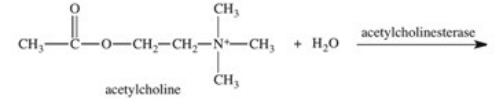 The enzyme acetylcholinesterase catalyzes the hydrolysis of acetylcholine.Which of the following is a product of this hydrolysis reaction?   A)    B)    C)    D)    E)   