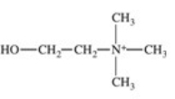 The enzyme acetylcholinesterase catalyzes the hydrolysis of acetylcholine.Which of the following is a product of this hydrolysis reaction?   A)    B)    C)    D)    E)   