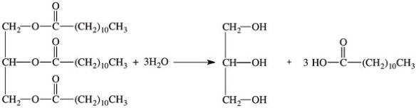 What class of enzymes catalyzes the following reaction?   A) hydrogenase B) catalase C) isomerase D) elastase E) lipase