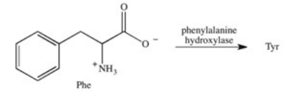 Phenylketonuria (PKU) is an inherited disease caused by the inability to produce a properly working form of the enzyme phenylalanine hydroxylase.This enzyme catalyzes the conversion of the amino acid phenylalanine to the amino acid tyrosine by adding a hydroxyl group to the para position on the ring.Based on this information,what is the structure of tyrosine (Tyr) ?   A)    B)    C)    D)    E)   