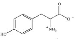 <strong>Phenylketonuria (PKU)is an inherited disease caused by the inability to produce a properly working form of the enzyme phenylalanine hydroxylase.This enzyme catalyzes the conversion of the amino acid phenylalanine to the amino acid tyrosine by adding a hydroxyl group to the para position on the ring.Based on this information,what is the structure of tyrosine (Tyr)? </strong> A) B) C) D) E)