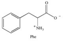 <strong>The properties of amino acids and the proteins they compose are based on the nature of their side chain group.Which term best classifies the side chain of the amino acid phenylalanine? </strong> A)basic B)acidic C)nonpolar,hydrophobic D)polar,neutral E)polar,hydrophilic